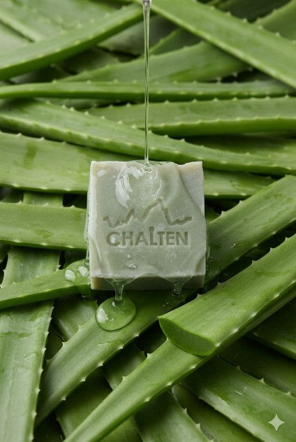 4-ALOE VERA SOAP